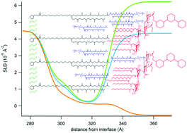 Graphical abstract: A tethered bilayer lipid membrane that mimics microbial membranes