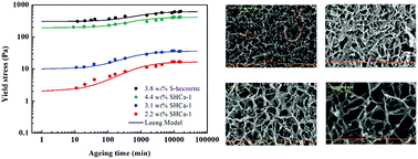 Graphical abstract: Surface chemistry, rheology and microstructure of purified natural and synthetic hectorite suspensions