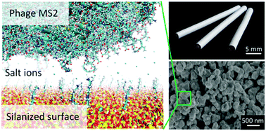 Graphical abstract: Effect of divalent versus monovalent cations on the MS2 retention capacity of amino-functionalized ceramic filters