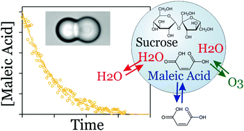 Graphical abstract: Influence of particle viscosity on mass transfer and heterogeneous ozonolysis kinetics in aqueous–sucrose–maleic acid aerosol
