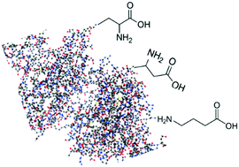 Graphical abstract: The last link of the x-aminobutyric acid series: the five conformers of β-aminobutyric acid