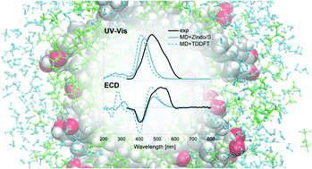 Graphical abstract: Structure of supramolecular astaxanthin aggregates revealed by molecular dynamics and electronic circular dichroism spectroscopy