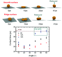 Graphical abstract: Bouncing dynamics of liquid drops impact on ridge structure: an effective approach to reduce the contact time