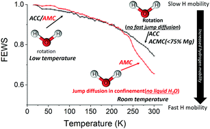 Graphical abstract: Mobility of hydrous species in amorphous calcium/magnesium carbonates