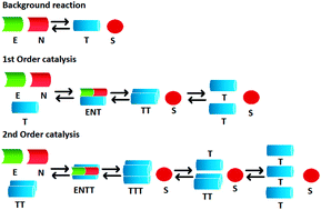 Graphical abstract: Open flow non-enzymatic template catalysis and replication