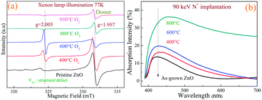 Graphical abstract: Defect evolution in ZnO and its effect on radiation tolerance