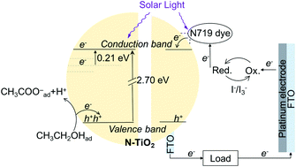 Graphical abstract: In situ infrared study of photo-generated electrons and adsorbed species on nitrogen-doped TiO2 in dye-sensitized solar cells