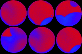 Graphical abstract: Spatiotemporal dynamics of minimal bromate oscillators in an open one-side-fed reactor