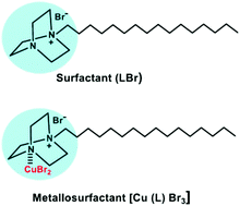 Graphical abstract: A new surfactant–copper(ii) complex based on 1,4-diazabicyclo[2.2.2]octane amphiphile. Crystal structure determination, self-assembly and functional activity