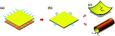 Graphical abstract: Spontaneous curling of freestanding Janus monolayer transition-metal dichalcogenides