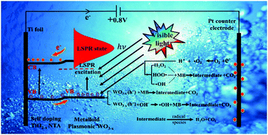 Graphical abstract: Oxygen vacancy induces self-doping effect and metalloid LSPR in non-stoichiometric tungsten suboxide synergistically contributing to the enhanced photoelectrocatalytic performance of WO3−x/TiO2−x heterojunction