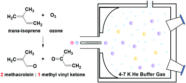 Graphical abstract: The ozonolysis of isoprene in a cryogenic buffer gas cell by high resolution microwave spectroscopy