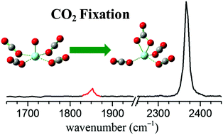 Graphical abstract: Coordination-induced CO2 fixation into carbonate by metal oxides