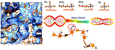 Graphical abstract: Role of cationic groups on structural and dynamical correlations in hydrated quaternary ammonium-functionalized poly(p-phenylene oxide)-based anion exchange membranes