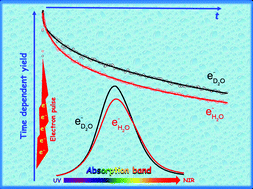 Graphical abstract: Time-dependent yield of the hydrated electron and the hydroxyl radical in D2O: a picosecond pulse radiolysis study