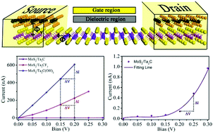 Graphical abstract: Modified MXene: promising electrode materials for constructing Ohmic contacts with MoS2 for electronic device applications