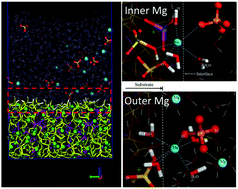 Graphical abstract: Insights on magnesium and sulfate ions’ adsorption on the surface of sodium alumino-silicate hydrate (NASH) gel: a molecular dynamics study