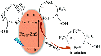 Graphical abstract: Characterization of visible-light photo-Fenton reactions using Fe-doped ZnS (Fex-ZnS) mesoporous microspheres