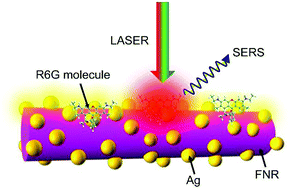 Graphical abstract: Hierarchical heterostructure of Ag-nanoparticle decorated fullerene nanorods (Ag–FNRs) as an effective single particle freestanding SERS substrate