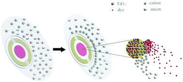 Graphical abstract: Kinetics of in situ desorption of dye molecules on sensitized TiO2 nanoparticles in a high concentration solution: ion parasitic adsorption process and mass reference