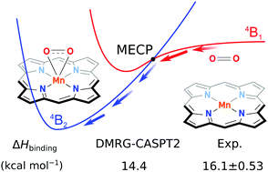 Graphical abstract: The dioxygen adducts of iron and manganese porphyrins: electronic structure and binding energy