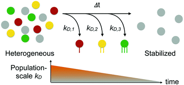 Graphical abstract: Extracting multivalent detachment rates from heterogeneous nanoparticle populations