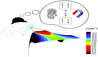 Graphical abstract: The magnetic fingerprint of dithiazolyl-based molecule magnets