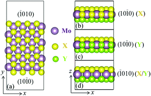 Graphical abstract: Catalytic activity for the hydrogen evolution reaction of edges in Janus monolayer MoXY (X/Y = S, Se, and Te)