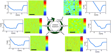 Graphical abstract: Surface aging investigation by means of an AFM-based methodology and the evolution of conservative nanoscale interactions