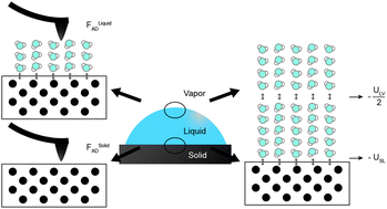 Graphical abstract: The evolution in graphitic surface wettability with first-principles quantum simulations: the counterintuitive role of water