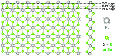 Graphical abstract: Hybridization induced metallic and magnetic edge states in noble transition-metal-dichalcogenides of PtX2 (X = S, Se) nanoribbons