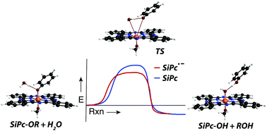 Graphical abstract: Defining the conditional basis of silicon phthalocyanine near-IR ligand exchange