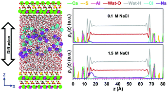 Graphical abstract: Structure, orientation, and dynamics of water-soluble ions adsorbed to basal surfaces of calcium monosulfoaluminate hydrates