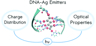 Graphical abstract: Optical properties and charge distribution in rod-shape DNA–silver cluster emitters