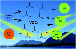 Graphical abstract: Influence of humidity and iron(iii) on photodegradation of atmospheric secondary organic aerosol particles