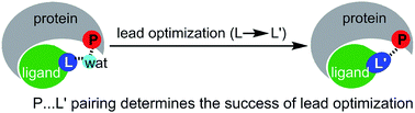 Graphical abstract: Effective lead optimization targeting the displacement of bridging receptor–ligand water molecules