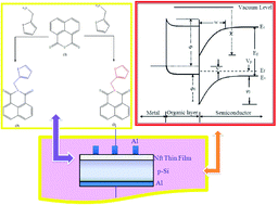 Graphical abstract: Electrical characterization of two analogous Schottky contacts produced from N-substituted 1,8-naphthalimide