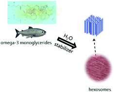 Graphical abstract: Structural characterization of self-assemblies of new omega-3 lipids: docosahexaenoic acid and docosapentaenoic acid monoglycerides