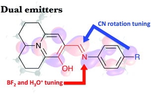 Graphical abstract: Excited state intramolecular proton transfer in julolidine derivatives: an ab initio study