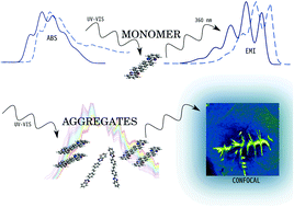 Graphical abstract: A 4,4′-bis(2-benzoxazolyl)stilbene luminescent probe: assessment of aggregate formation through photophysics experiments and quantum-chemical calculations