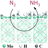 Graphical abstract: Impact of H-termination on the nitrogen reduction reaction of molybdenum carbide as an electrochemical catalyst