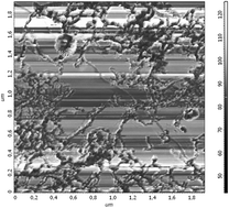 Graphical abstract: Drift mechanism of the metal nanowires formation in liquid helium