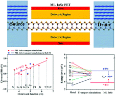 Graphical abstract: n-Type Ohmic contact and p-type Schottky contact of monolayer InSe transistors