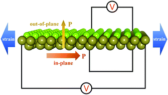 Graphical abstract: Symmetry-breaking induced large piezoelectricity in Janus tellurene materials