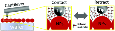 Graphical abstract: Measurement of the surface hydrophobicity of engineered nanoparticles using an atomic force microscope