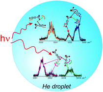 Graphical abstract: A HElium NanoDroplet Isolation (HENDI) investigation of the weak hydrogen bonding in the propyne dimer (CH3CCH)2