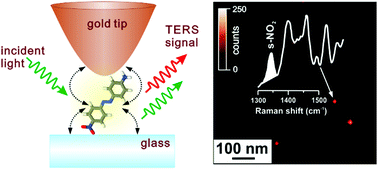 Graphical abstract: Near-field depolarization of tip-enhanced Raman scattering by single azo-chromophores