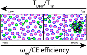 Graphical abstract: Maximizing NMR signal per unit time by facilitating the e–e–n cross effect DNP rate