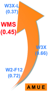 Graphical abstract: Extrapolation of high-order correlation energies: the WMS model