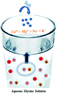 Graphical abstract: Cation-specific interactions of protein surface charges in dilute aqueous salt solutions: a combined study using dielectric relaxation spectroscopy and Raman spectroscopy